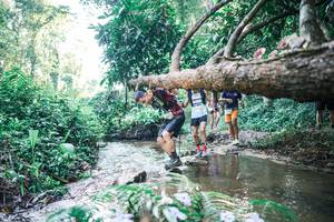 BIB: 
                            <button type="button" onclick="openModal(25432405)" class="btn btn-primary btn-sm float-right btn-popup" data-toggle="modal" data-target=".modal-high-quality">
                        <i class="fas fa-shopping-cart"></i> Add to Cart
                    </button>
                                            <button type="button" onclick="isThisMe(25432405, true)" class="btn btn-success btn-sm float-right btn-popup btn-isme hidden" data-toggle="tooltip" data-placement="bottom" title="นี่คือรูปของคุณใช่ไหม คลิกที่นี่เพื่อเอาเข้าอัลบั้ม">
                        <i class="fas fa-plus"></i> Add to album
                    </button>
                    <button type="button" onclick="isThisMe(25432405, false)" class="btn btn-warning btn-sm float-right btn-popup btn-isnotme hidden">
                        <i class="fas fa-ban"></i> Remove from album
                    </button>